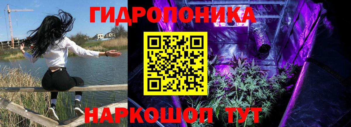 Конопля THC 21%  Вход с VPN  Марихуана AK-47  Донской 